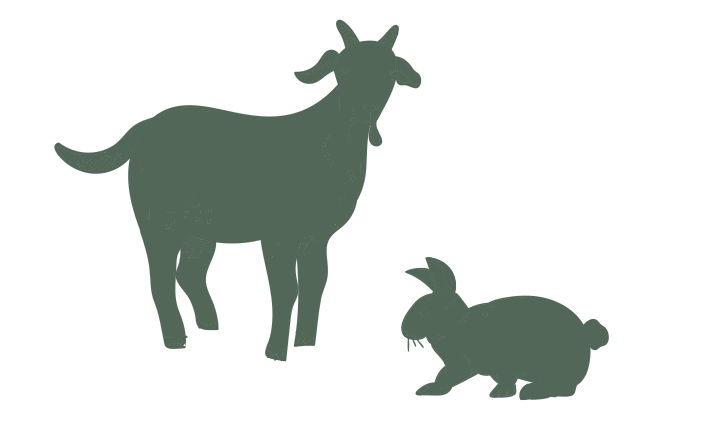 Illustration chèvre et lapin (designed by freepik)